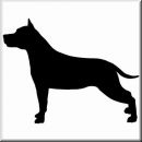 Aufkleber Hund American Staffordshire Terrier