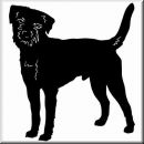 Aufkleber Hund Border Terrier