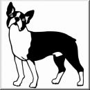 Aufkleber Hund Boston Terrier 4