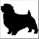Aufkleber Hund Norfolk Terrier 2