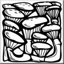 Aufkleber Rectangle Floral Designs 008