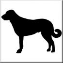 Aufkleber Hund Anatolian Shepherd