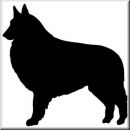 Aufkleber Hund Belgian Tervuren