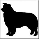 Aufkleber Hund Border Collie 2