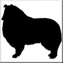 Aufkleber Hund Collie 2