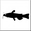 Folienaufkleber Motiv Wels 01