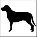 Aufkleber Hund Great Swiss Mountain 2