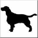 Aufkleber Hund Cocker Spaniel