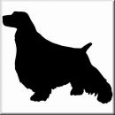 Aufkleber Hund English Springer Spaniel 2