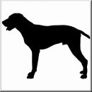 Aufkleber Hund German Shorthaired Pointer
