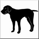 Aufkleber Hund German Shorthaired Pointer 3