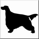 Aufkleber Hund Golden Setter 2