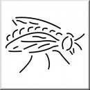 Folienaufkleber Motiv Fliege 03