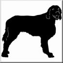Aufkleber Hund Irish Setter 2