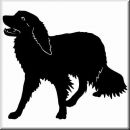 Aufkleber Hund Kooikerhondje 2