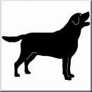 Aufkleber Hund Labrador Retriever 3