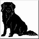 Aufkleber Hund Nova Scotia Duck Tolling Retriever