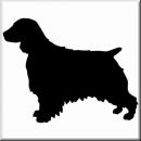 Aufkleber Hund Welsh Springer Spaniel 2