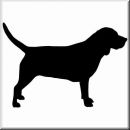 Aufkleber Hund Beagle 2