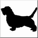 Aufkleber Hund Petit Basset Griffon Vendeen 2