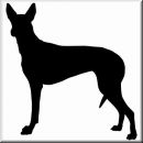 Aufkleber Hund Pharaoh Hound