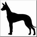 Aufkleber Hund Pharaoh Hound 2