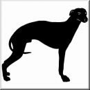 Aufkleber Hund Whippet