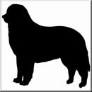 Aufkleber Hund Burmese Mountain Dog 2