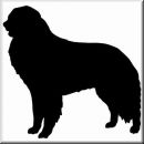 Aufkleber Hund Kuvasz 2