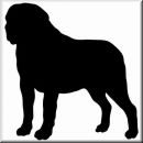 Aufkleber Hund Saint Bernard 3