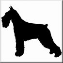Aufkleber Hund Standard Schnauzer