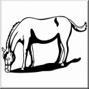 Aufkleber Western Animals 15 Pferd