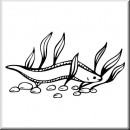 Folienaufkleber Motiv Aal