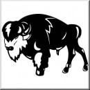 Animals 04 Bison