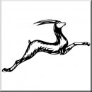 Animals 09 Gazelle