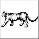Animals 20 Tiger